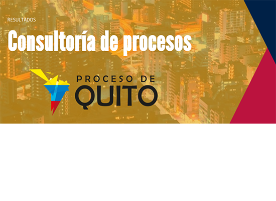Results of the Process Consultancy
