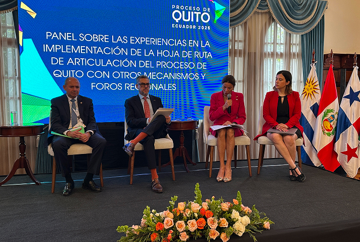 Consolidación institucional